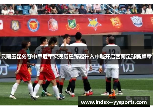 云南玉昆勇夺中甲冠军实现历史跨越升入中超开启西南足球新篇章 云南玉昆勇夺中甲冠军实现历史跨越升入中超开启西南足球新篇章